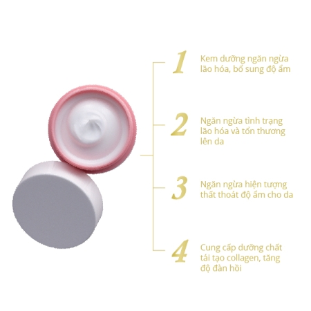 Kem Dưỡng Da Naris Cosmetics Collagen Ngăn Ngừa Lão Hóa 48g Moisturizing Cream