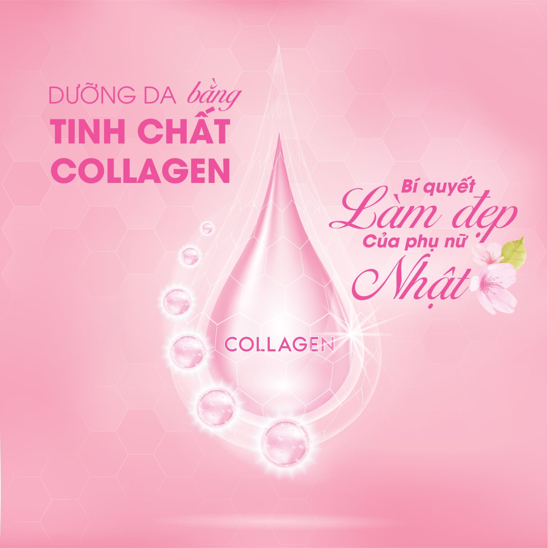 Triple Collagen giúp thẩm thấu sâu trong da