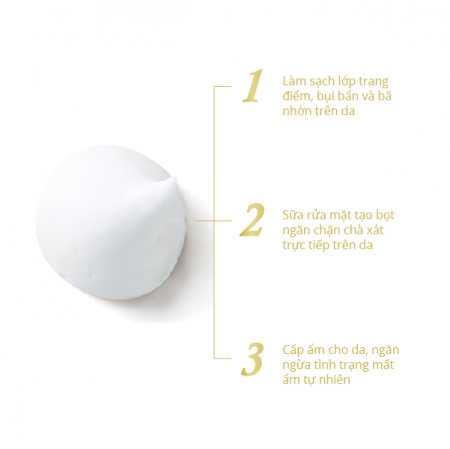 Sữa rửa mặt tẩy trang NARIS REJUARNA W CLEANSING FOAM