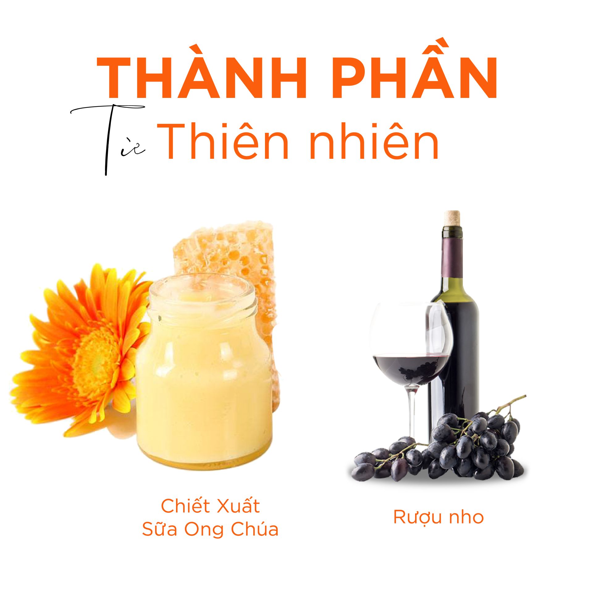 Thành phần thiên nhiên thấm sâu giúp dưỡng da